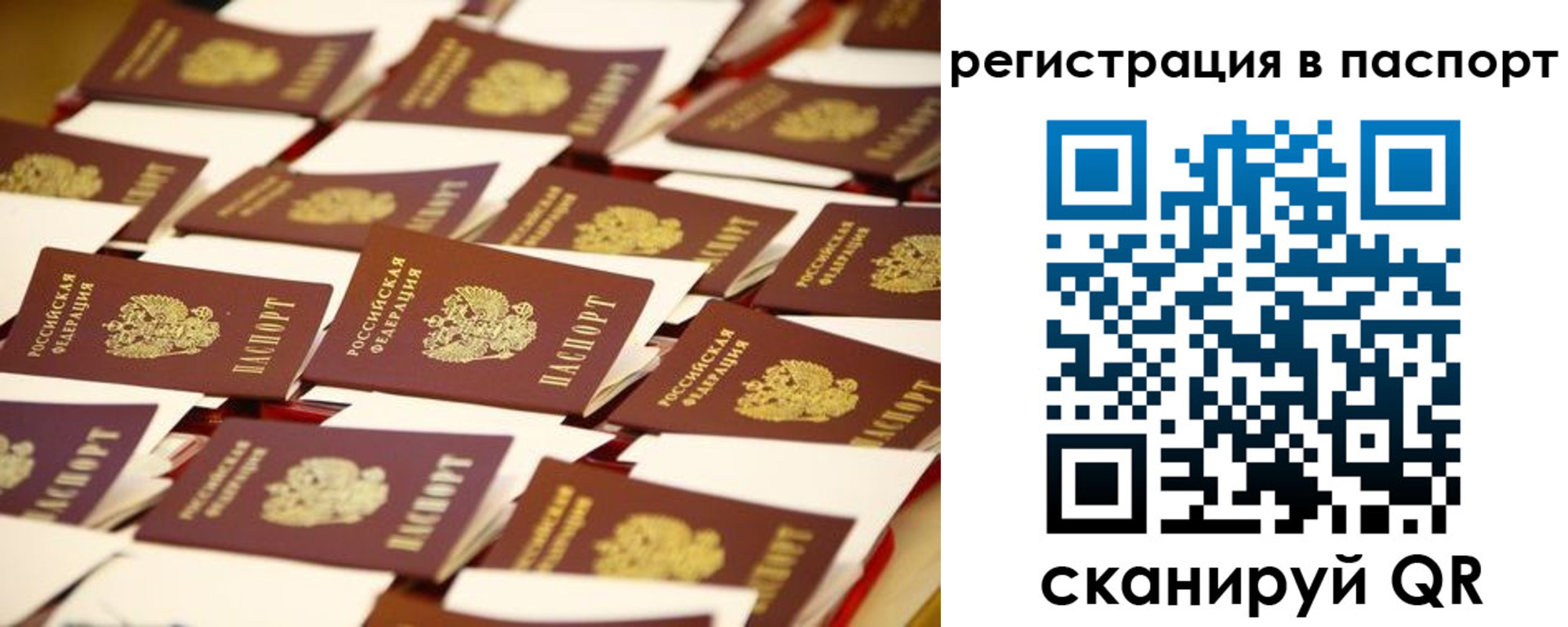 прописка гарантия в Ростове-на-Дону